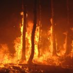 How To Come Up With an Emergency Wildfire Plan